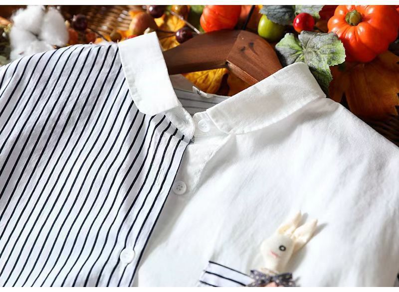 Pure Cotton Women’s Digital Printed Shirt